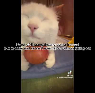 🗣️🗣️🗣️🗣️🗣️