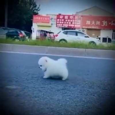 illegally smol cloud trotting safely away from traffic