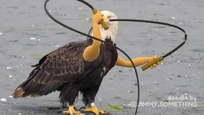 Abortions, FUCK YEAH!! 𝘔𝘜𝘙𝘐𝘊𝘈! ☕️