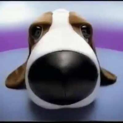 DoomerGvng - Video #3163