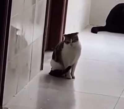 I embarrassed myself.