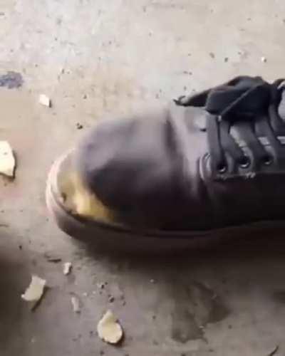 The hungry shoe