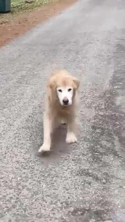 17-year-old Good Girl still got pep in her step