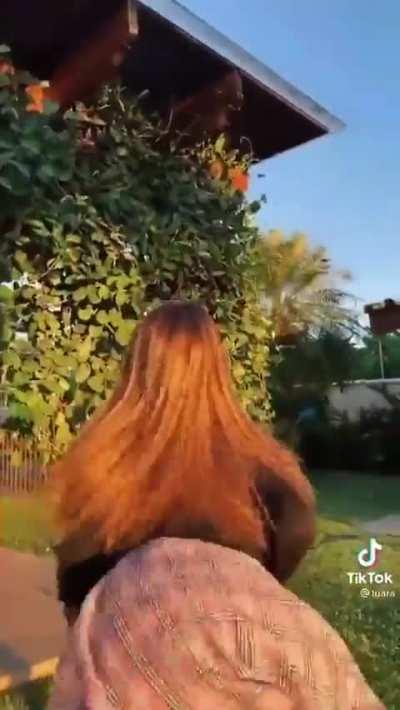 Compilado luara fonseca rebolando