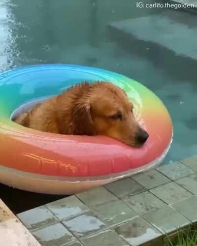 when swan lake comes on