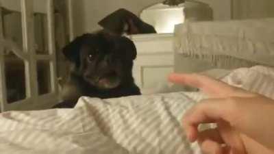 Let's remind Edgar that this exists