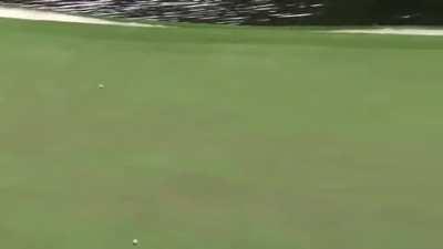 John Rahm skipped a ball across the water hazard to make an amazing hole in one