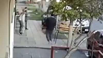 Perros sueltos muerden y amenazan a los transeúntes de Avellaneda