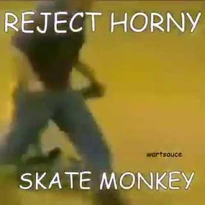 skater monkey