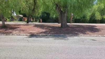 100% was seen walking naked across a very wide street. (f)