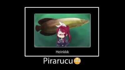 Lansa a música ae pra mim admin