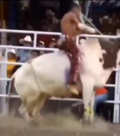 This guy is a master.