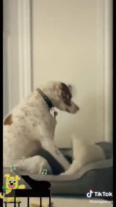 Hold me closer tiny dancer.