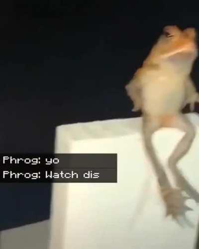 Los 7 mejores momentos de karmaland