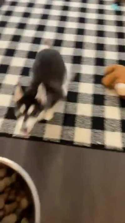 He’s excited for breakfast