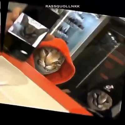 I love it, name please? All i know is that it's russian...