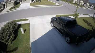 Framerate synced with a bird’s wings