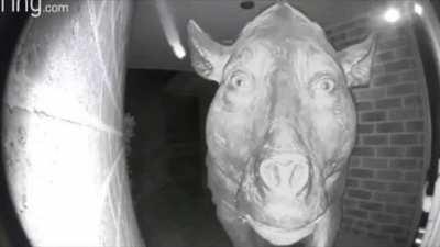 Me cuming to you ' re hoouse :)