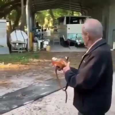 Gunner primary please