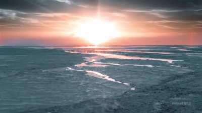 Şöyle bir meslek sahibi olmak isterdim. Deniz, Kar, Soğuk bir hava her limanda bir sevgilim olurdu. Kalabalıktan mümkün olduğunca uzaktasın. 31 çekip geleyim.