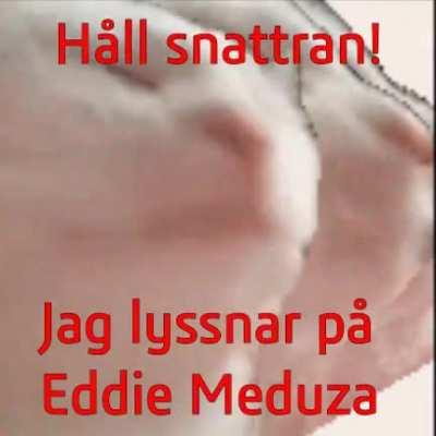 Relevant p.g.a. subnamnet