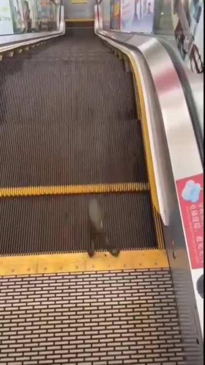 WHAT MY LIFE FEELS LIKE ATM.....