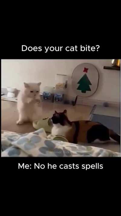 Okay, who taught him this