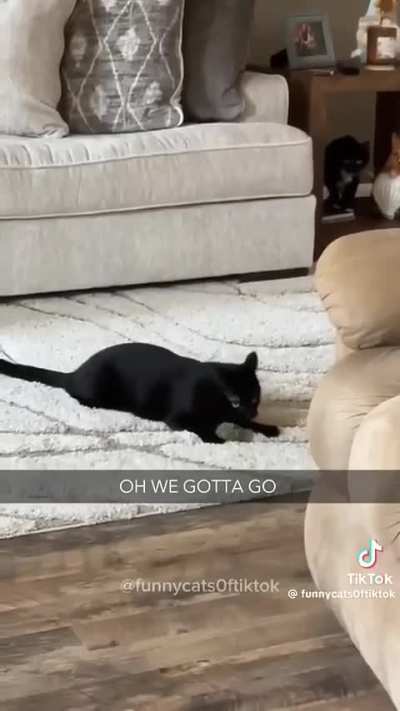 They're eating the WHAT?!