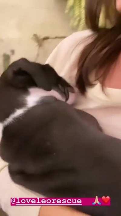 We’ve passed 9000 members. Here’s Victoria cuddling a puppy to celebrate