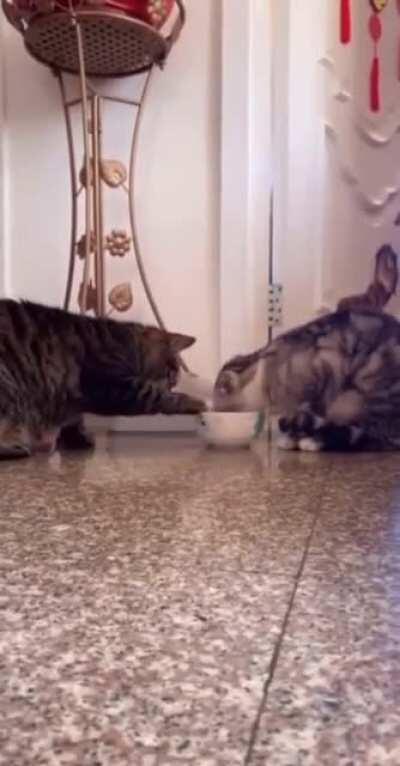 Wait a minute. I think there is a glitch in the Matrix