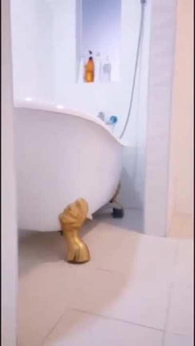 Chin scratches please