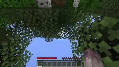 Minecraft: Australia Edition