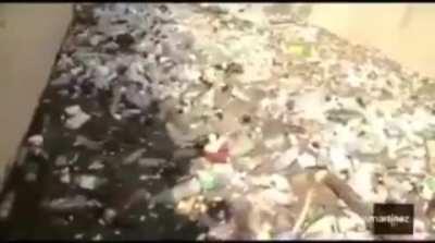 Piscina peruana piscina peruana