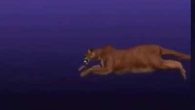 Vaginal launch system rule