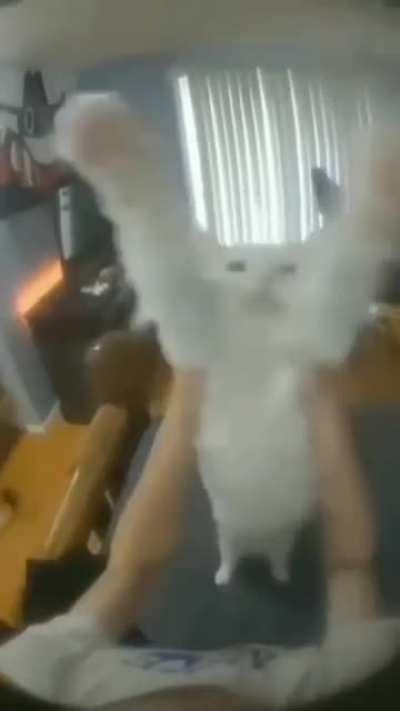 When the vibing game music slaps