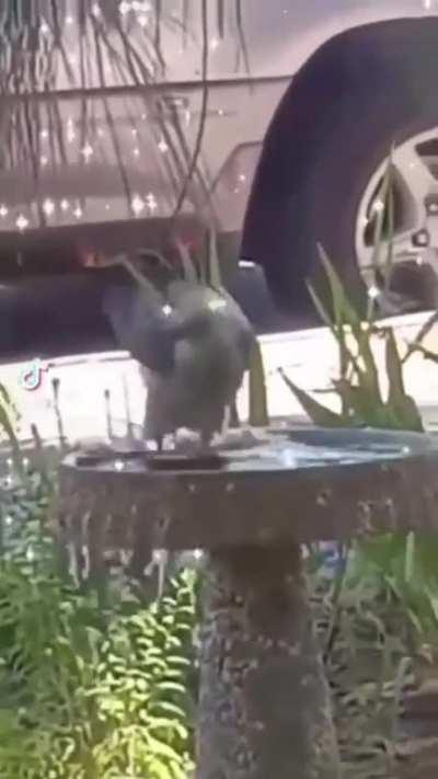 You gotta cool them nuts..