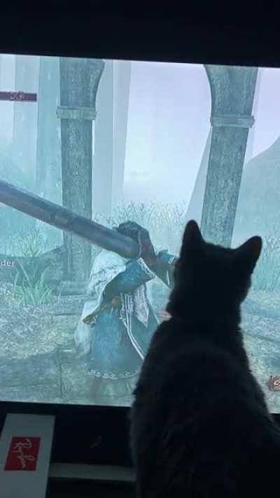 She likes the pursuer sword as much as I do apparently