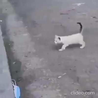 Ах поребрик, бессердечная ты сука