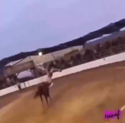 he just RKO'ed the horse