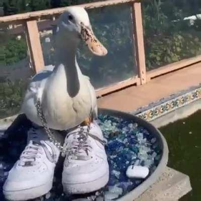 😎👌🥵🥵🔥🔥🔥