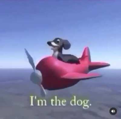 Im sorry.😂😂😅