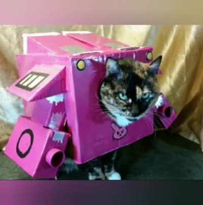 How to kill Jack? answer: cats in robots