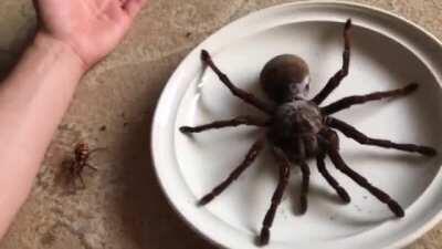 That's a pretty big...