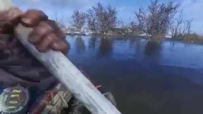 An interesting title