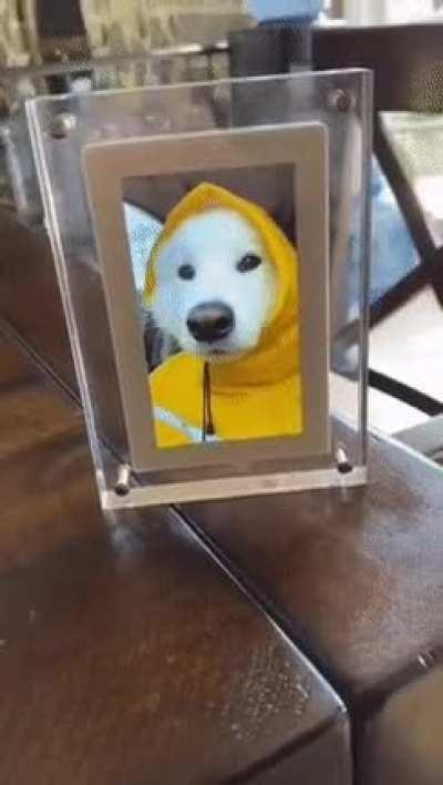 Don't forget to smile!