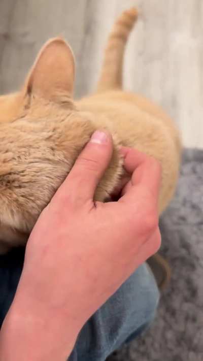 Everyday when I get home from work… the cutest 🥰