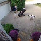 Where are you, jiIILLLLLLLLL!