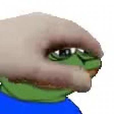 POV: I pet pepe the frog