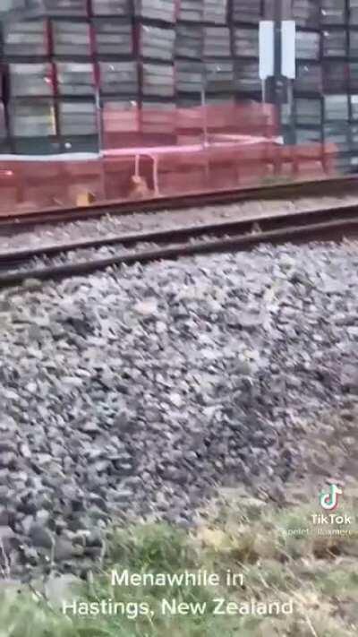 BRO. Did they even survive?!