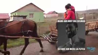 Sigma Romania 🇷🇴🇷🇴🇷🇴